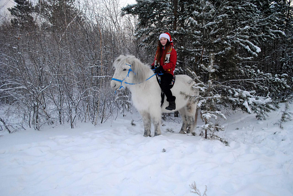 Конные прогулки в Якутске. Подарочные сертификаты Ultra Подарки. Купить оригинальный подарок или подарочный сертификат на Конные прогулки в Якутске. Сервис UltraPodarki.ru 8-800-505-9530. Катание на лошадях, Прогулка на лошади, Прогулка на лошадях для двоих, Конные прогулки, конный клуб, Конный клуб, конная прогулка, конная прогулка в Якутске