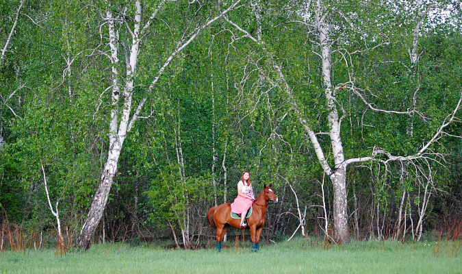 Конные прогулки в Якутске. Подарочные сертификаты Ultra Подарки. Купить оригинальный подарок или подарочный сертификат на Конные прогулки в Якутске. Сервис UltraPodarki.ru 8-800-505-9530. Катание на лошадях, Прогулка на лошади, Прогулка на лошадях для двоих, Конные прогулки, конный клуб, Конный клуб, конная прогулка, конная прогулка в Якутске