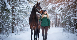 Конные прогулки