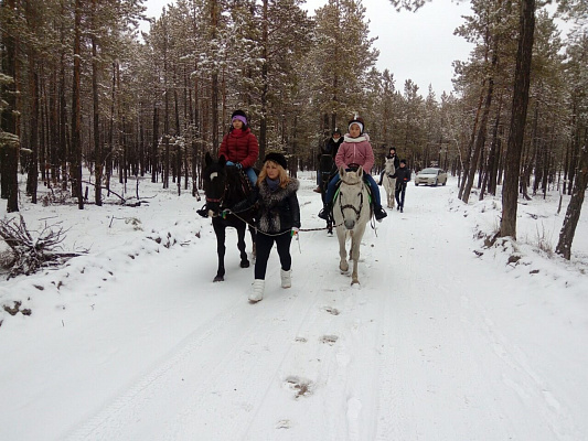 Конные прогулки в Якутске. Подарочные сертификаты Ultra Подарки. Купить оригинальный подарок или подарочный сертификат на Конные прогулки в Якутске. Сервис UltraPodarki.ru 8-800-505-9530. Катание на лошадях, Прогулка на лошади, Прогулка на лошадях для двоих, Конные прогулки, конный клуб, Конный клуб, конная прогулка, конная прогулка в Якутске