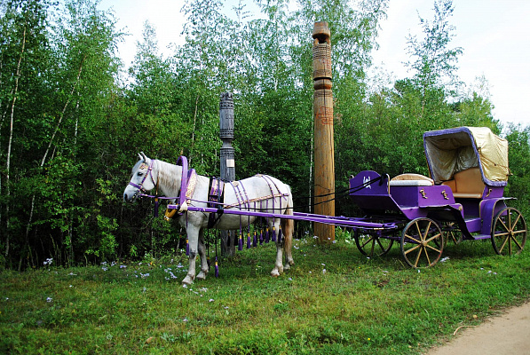 Конные прогулки в Якутске. Подарочные сертификаты Ultra Подарки. Купить оригинальный подарок или подарочный сертификат на Конные прогулки в Якутске. Сервис UltraPodarki.ru 8-800-505-9530. Катание на лошадях, Прогулка на лошади, Прогулка на лошадях для двоих, Конные прогулки, конный клуб, Конный клуб, конная прогулка, конная прогулка в Якутске
