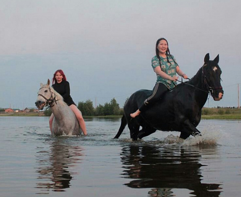 Конные прогулки в Якутске. Подарочные сертификаты Ultra Подарки. Купить оригинальный подарок или подарочный сертификат на Конные прогулки в Якутске. Сервис UltraPodarki.ru 8-800-505-9530. Катание на лошадях, Прогулка на лошади, Прогулка на лошадях для двоих, Конные прогулки, конный клуб, Конный клуб, конная прогулка, конная прогулка в Якутске