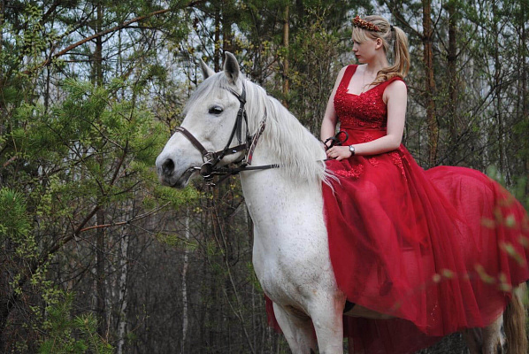 Конные прогулки в Якутске. Подарочные сертификаты Ultra Подарки. Купить оригинальный подарок или подарочный сертификат на Конные прогулки в Якутске. Сервис UltraPodarki.ru 8-800-505-9530. Катание на лошадях, Прогулка на лошади, Прогулка на лошадях для двоих, Конные прогулки, конный клуб, Конный клуб, конная прогулка, конная прогулка в Якутске