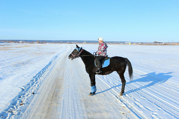 Конные прогулки в Якутске. Подарочные сертификаты Ultra Подарки. Купить оригинальный подарок или подарочный сертификат на Конные прогулки в Якутске. Сервис UltraPodarki.ru 8-800-505-9530. Катание на лошадях, Прогулка на лошади, Прогулка на лошадях для двоих, Конные прогулки, конный клуб, Конный клуб, конная прогулка, конная прогулка в Якутске
