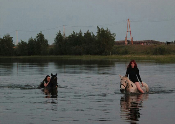 Конные прогулки в Якутске. Подарочные сертификаты Ultra Подарки. Купить оригинальный подарок или подарочный сертификат на Конные прогулки в Якутске. Сервис UltraPodarki.ru 8-800-505-9530. Катание на лошадях, Прогулка на лошади, Прогулка на лошадях для двоих, Конные прогулки, конный клуб, Конный клуб, конная прогулка, конная прогулка в Якутске
