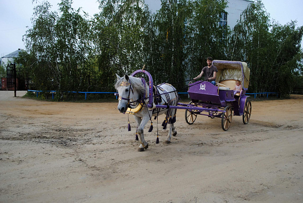 Конные прогулки в Якутске. Подарочные сертификаты Ultra Подарки. Купить оригинальный подарок или подарочный сертификат на Конные прогулки в Якутске. Сервис UltraPodarki.ru 8-800-505-9530. Катание на лошадях, Прогулка на лошади, Прогулка на лошадях для двоих, Конные прогулки, конный клуб, Конный клуб, конная прогулка, конная прогулка в Якутске