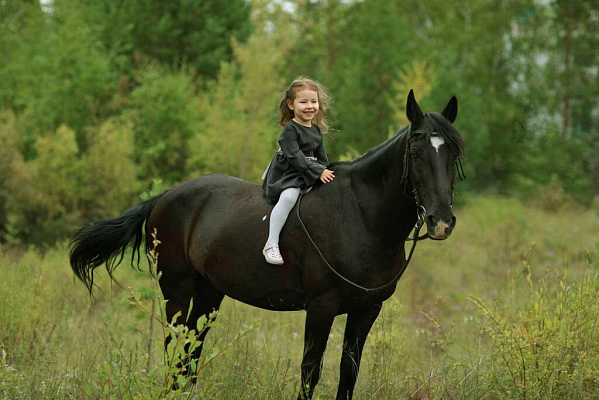 Конные прогулки в Якутске. Подарочные сертификаты Ultra Подарки. Купить оригинальный подарок или подарочный сертификат на Конные прогулки в Якутске. Сервис UltraPodarki.ru 8-800-505-9530. Катание на лошадях, Прогулка на лошади, Прогулка на лошадях для двоих, Конные прогулки, конный клуб, Конный клуб, конная прогулка, конная прогулка в Якутске